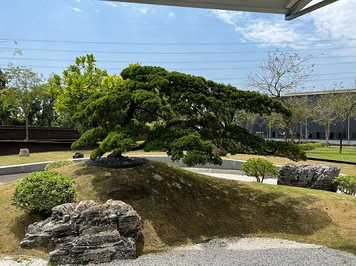 屏東崁頂庭園維護