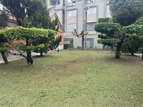 屏東庭園維護