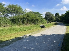 屏東割草