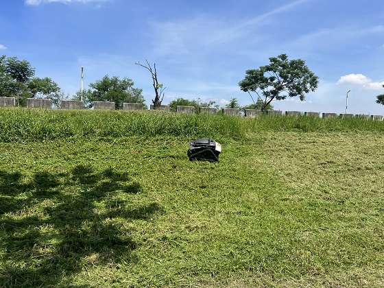 屏東萬巒割草