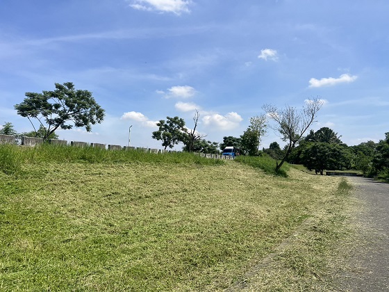 屏東萬巒割草
